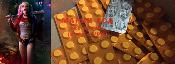 mdpv Вяземский