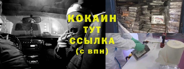 mdpv Вяземский