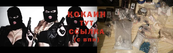 mdpv Вяземский