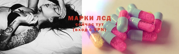 mdpv Вяземский