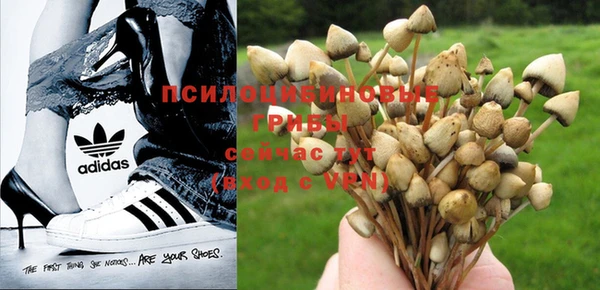 спайс Вязьма