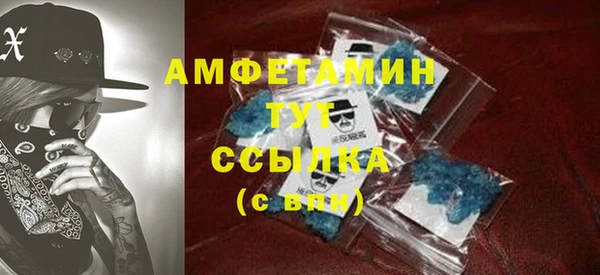 mdpv Вяземский