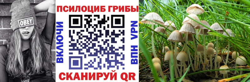 Псилоцибиновые грибы Psilocybe  kraken рабочий сайт  Кострома 